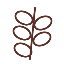 Blahovičníky - Eucalyptus