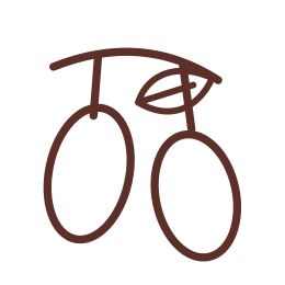Dřín