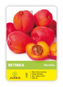 Meruňka BETINKA