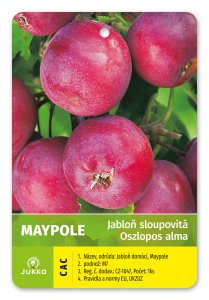 Jabloň sloupovitá MAYPOLE