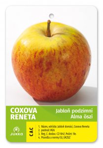 Jabloň COXOVA RENETA