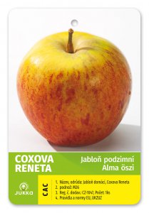 Jabloň COXOVA RENETA - kontajner