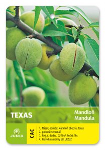 Mandľa TEXAS - kontajner
