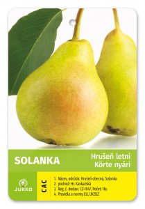 Hruška SOLANKA