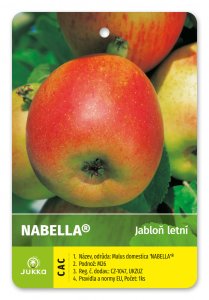 Jabloň NABELLA - kontejner