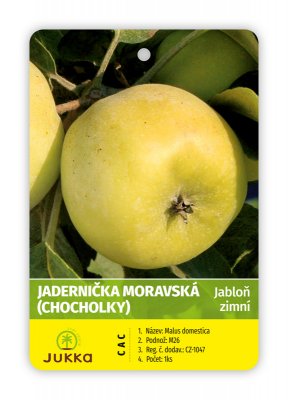 Jabloň JADERNIČKA MORAVSKÁ