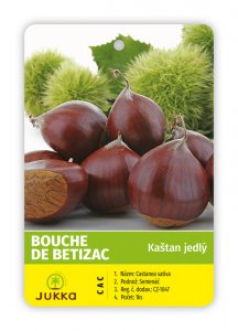 Kaštan jedlý - BOUCHE DE BETIZAC - kontejner