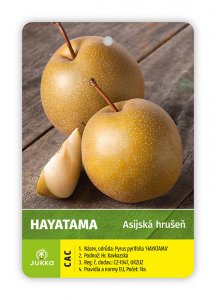 Ázijská hruška HAYATAMA