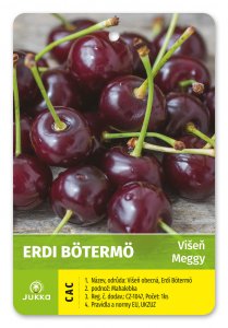 Višňa ERDI BÖTERMO