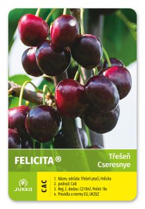 Čerešňa FELICITA