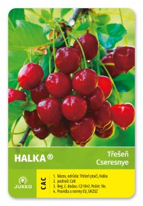 Čerešňa HALKA