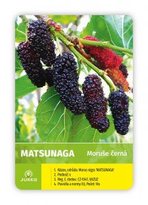 Moruše MOJO BERRY (Matsunaga)