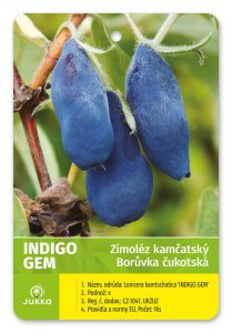 Čukotská borůvka INDIGO GEM