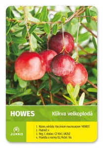 Kľukva (brusnica) HOWES