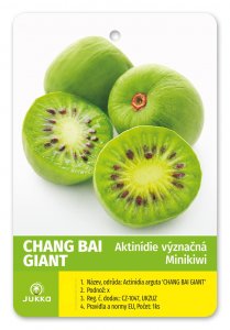 Kiwi CHANG BAI GIANT (A. arguta) nevěsta