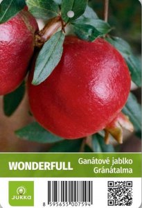 Granátové jablko - WONDERFUL - kontejner C6L