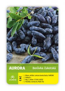 Čukotská borůvka AURORA