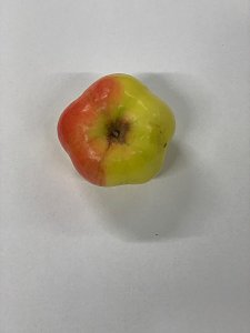 Jabloň STERN APFEL - kontejner