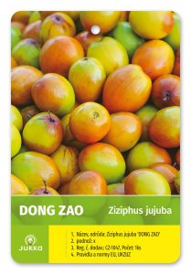 Ziziphus jujuba - jujuba čínska DONG ZAO - malá