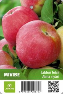 Jabloň MIVIBE - kontejner