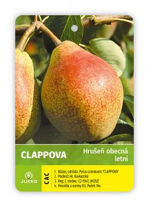 Hrušeň CLAPPOVA