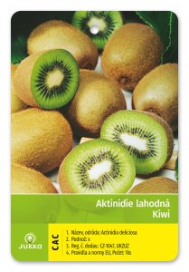Kiwi SOLO (A. deliciosa) samosprašné