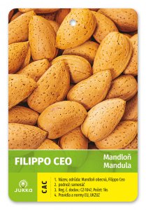 Mandľa FILIPPO CEO - kontajner