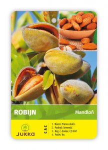 Mandľa ROBIJN - kontajner