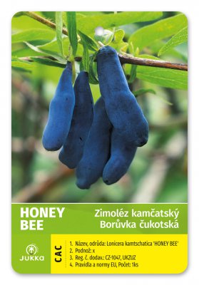 Čukotská borůvka HONEY BEE