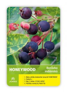 Indiánska čučoriedka Amelanchier HONEYWOOD