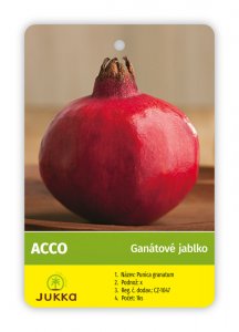 Granátové jablko ACCO - kontejner