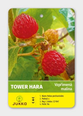 Maliník TOWER HARA®