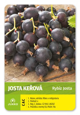 Josta keřová JODELI® - kontejner