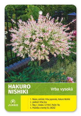 Vrba japonská HAKURO NISHIKI 120cm - kontejner