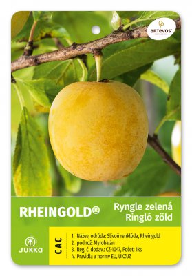 Ryngle RHEINGOLD - kontejner