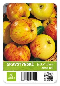 Jabloň  GRÁVŠTÝNSKÉ - kontajner