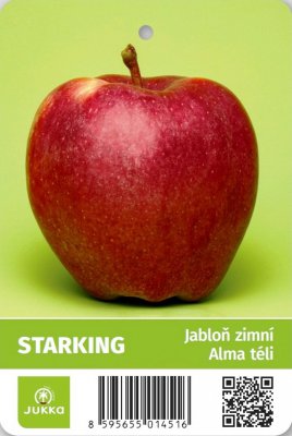 Jabloň STARKING - kontejner