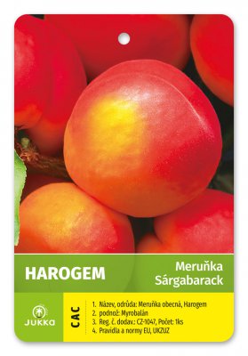 Meruňka HAROGEM - kontejner