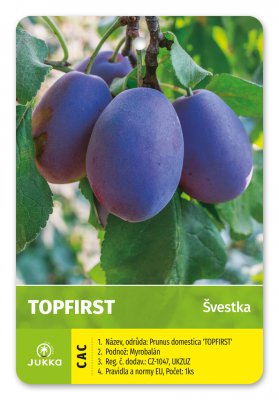 Švestka TOPFIRST - kontejner