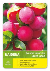 Japonská švestka NAJDENA - kontejner