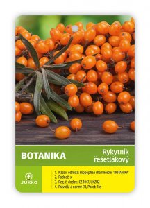 Rakytník řešetlákový BOTANIKA - samice