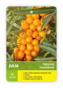 Rakytník řešetlákový JULIA - samice