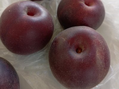 Švestkomeruňka APRISALI®