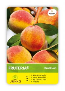 Broskvoň FRUTERIA