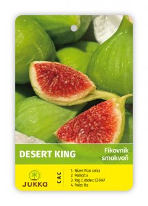 Figovník DESERT KING