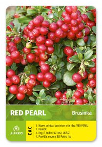 Brusnica - RED PEARL