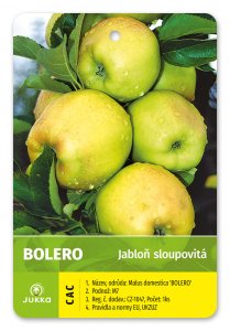 Jabloň sloupovitá BOLERO