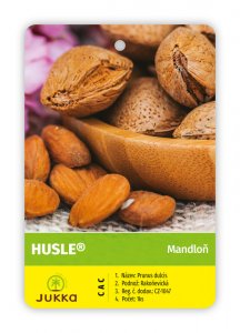 Mandľa HUSLE - kontajner