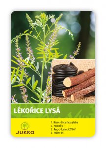 Glycyrrhiza glabra - LÉKOŘICE LYSÁ