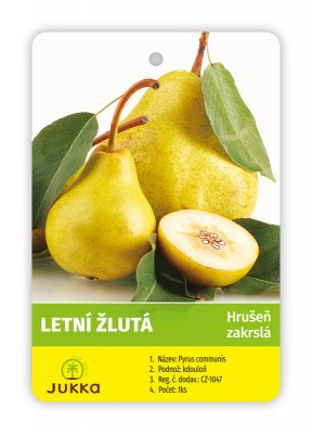 Hrušeň zakrslá LETNÍ ŽLUTÁ - kontejner
